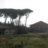 E naturalmente anche nella tenuta di famiglia, che sorgeva nell�aperta campagna adiacente il centro commerciale Bariblu di Triggiano, � possibile trovare il �ricordo� di alcuni prodotti dell�azienda